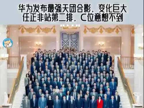 华为全部阵容插图
