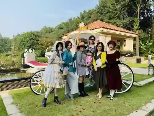 玫瑰酒店阵容搭配