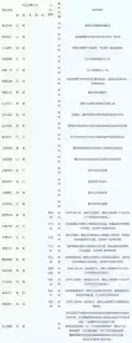 梦幻西游仙符碎片
