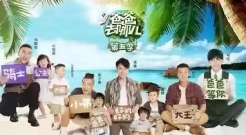 爸爸去哪儿5强阵容搭配