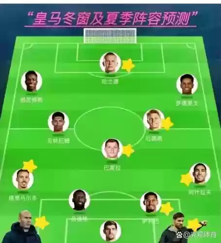 多匹阵容插图