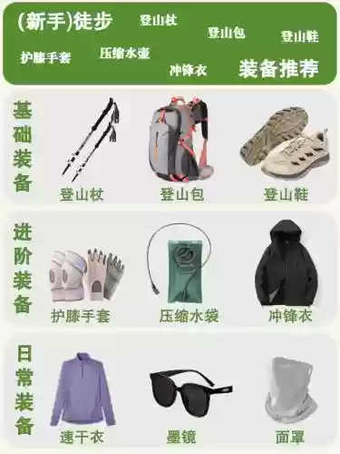 去森林需要什么装备_1插图