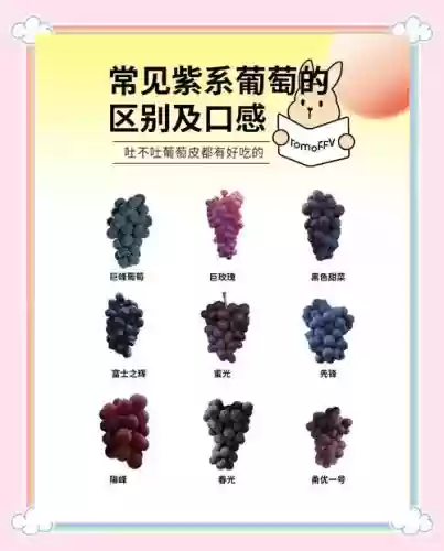 葡萄阵容搭配插图1