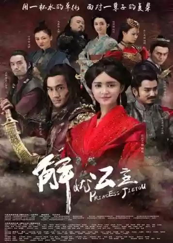 解忧公主阵容插图1