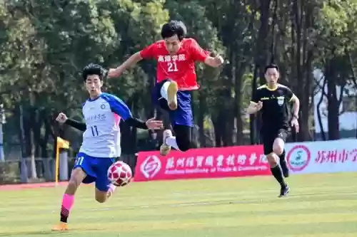 苏州足球阵容插图