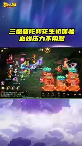 梦幻西游手游神威普陀插图1