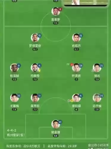 310合作阵容