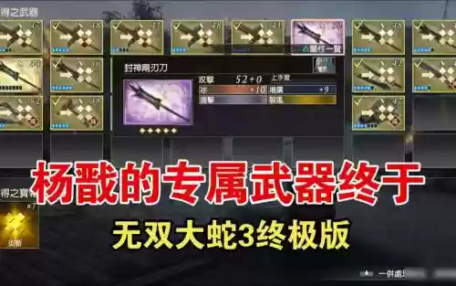无双大蛇武器盒插图