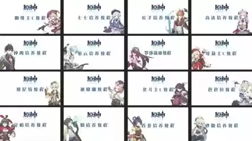 妍菲阵容搭配