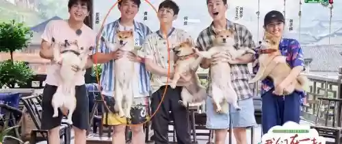 向往四最佳阵容搭配插图