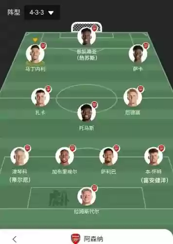 马丁亚斯阵容插图