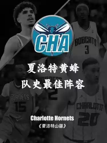 黄蜂阵容2014