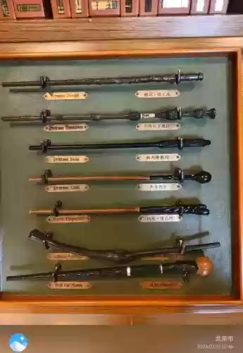 巫医用什么武器插图