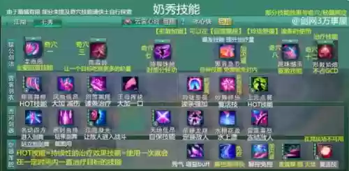 奶秀雷霆技能详解