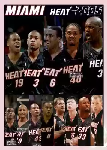 热火阵容2005插图