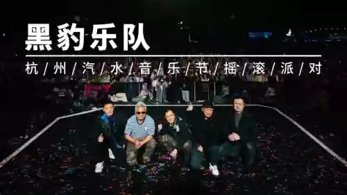 黑豹乐队阵容搭配