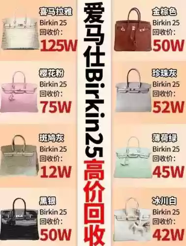 birkin最新阵容插图