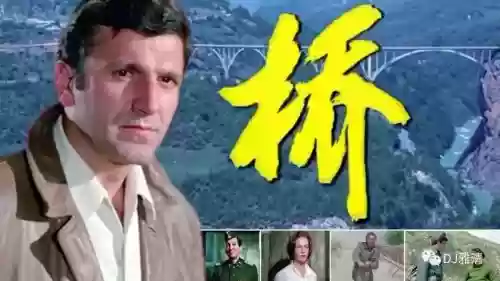 桥主演阵容插图