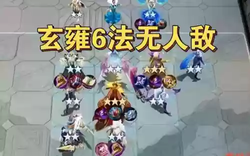 双表哥阵容