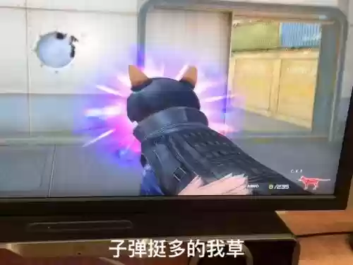 cats武器比较