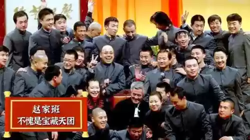 赵家班阵容搭配插图