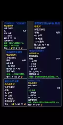 3.13战斗贼装备_1