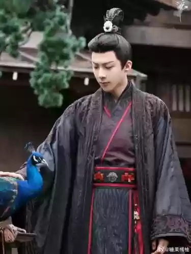 许劭阵容搭配插图