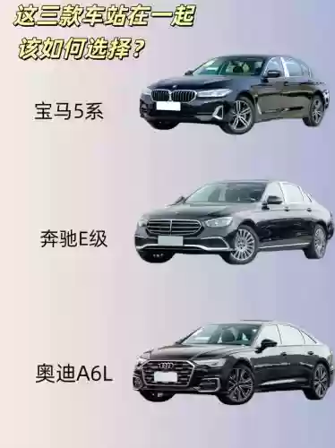 bba阵容名单插图