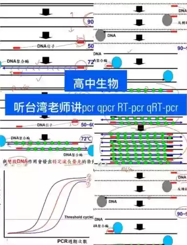 pcr水电阵容插图