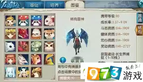 诛仙雷神技能玉插图