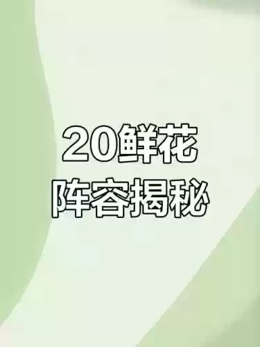 鲜花和阵容插图