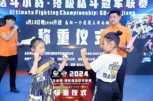 格斗娃阵容