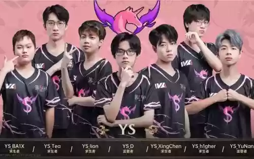 ym战队阵容