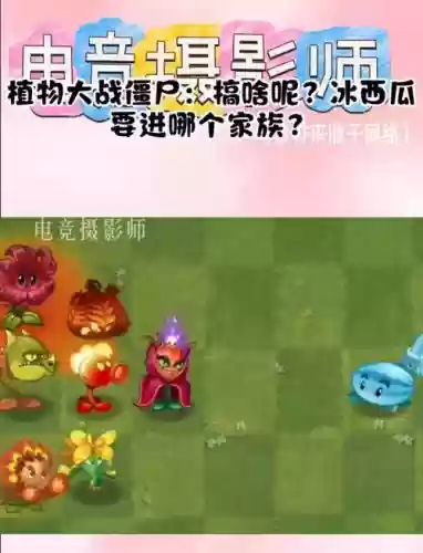 汐瓜阵容