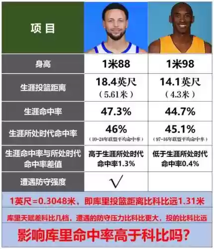如何看待阵容插图