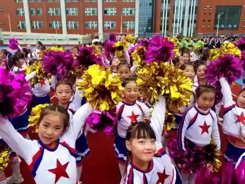 豪华阵容学校