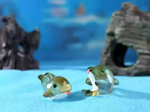 海马老虎阵容