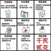 绝对中立阵容插图1