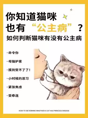 测测你有公主病吗攻略插图1