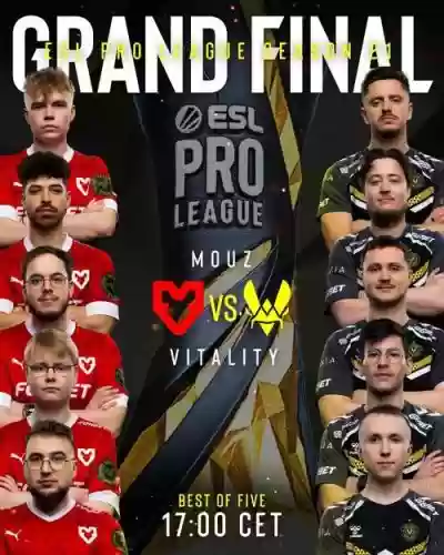 vitality原阵容插图