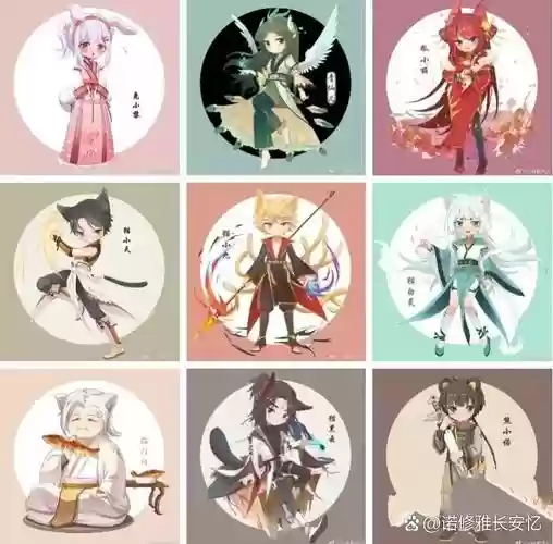猫君阵容