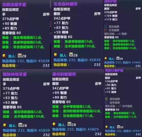 魔兽世界装备序号插图1