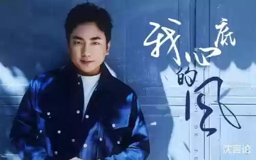 阿海阵容插图