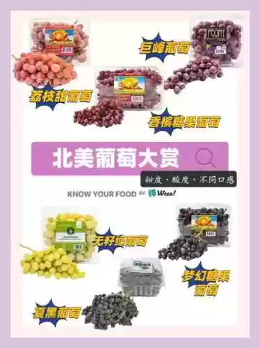 葡萄阵容搭配插图