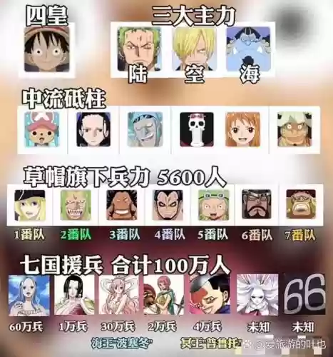 海盗阵容9