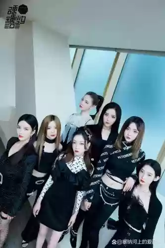 303真香阵容插图