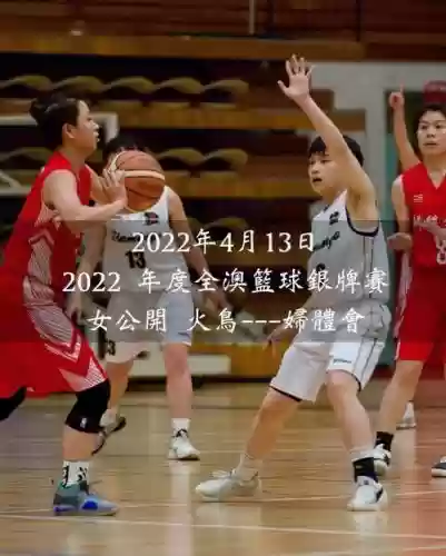 火鸟队阵容_1