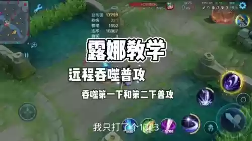 梦泪露娜带的什么技能
