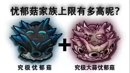 蘑菇阵容搭配_1插图