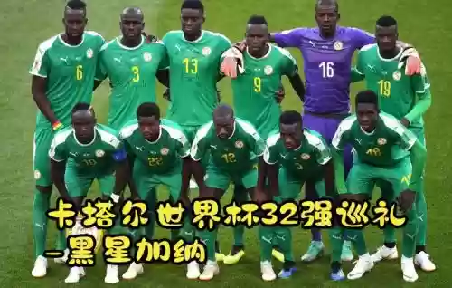 加纳球员阵容_2插图